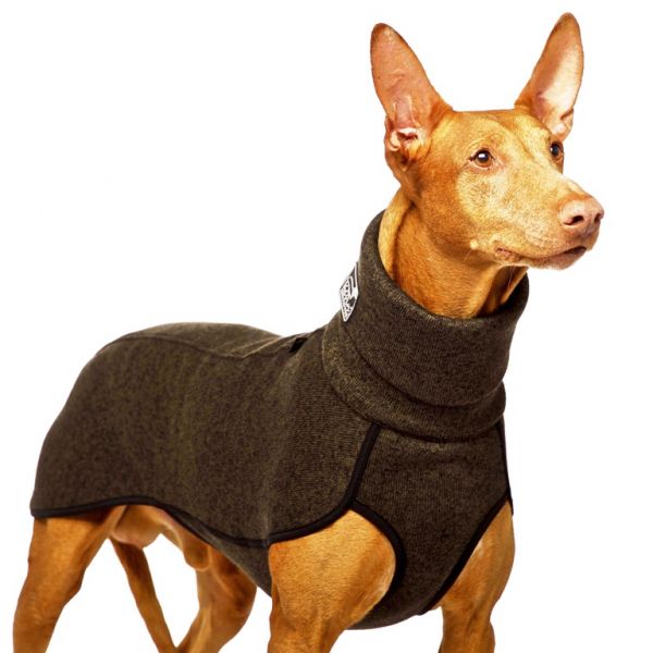 Sofa Dog Wear KEVIN Jumper (Pulli für Windhunde)